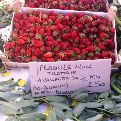 11112155_870973276330460_3367792858529501355_n