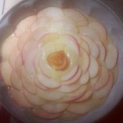 12009687_10153418288492891_4036810223269681264_n